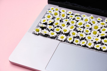 Spring Flowers Keyboard. Laptop with Flowers over pink backgroun