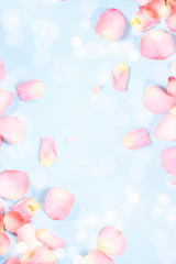 Spring background with petals