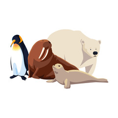 arctic animals in a white background