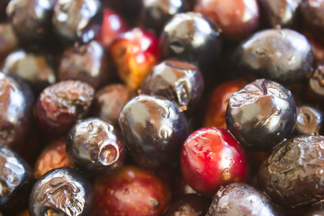 Close up view of black and red olives