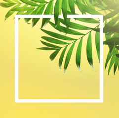 dark green tropical palm leaf on yellow background