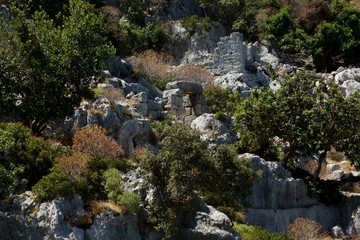 KEKOWA ADASI