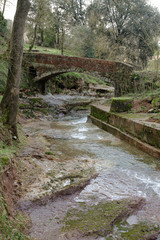 Fototapeta premium Small stone bridge with river stream crossing a green forest