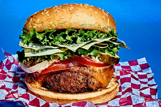 Studio shot of hamburger