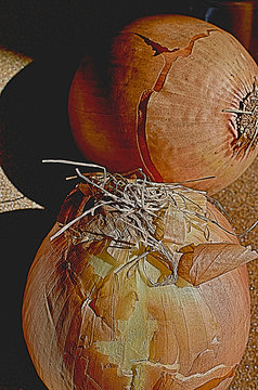 Close up of two onions