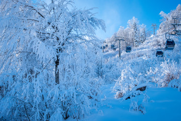 Winter Mountain landscape at the Rosa Khutor ski resort in Sochi, Russia. Cable car cabin over pine trees in the snow