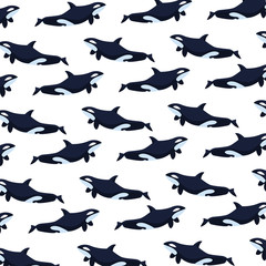 pattern of killer whale on a white background