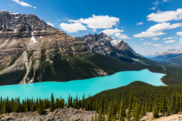 Peyto Lake