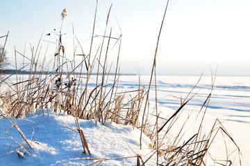 winter landscape with lake