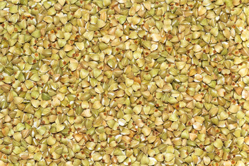 Green buckwheat groats closeup background for design