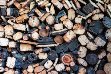 firewood background, Stacks of firewood in the forest