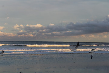Beach Sunset 