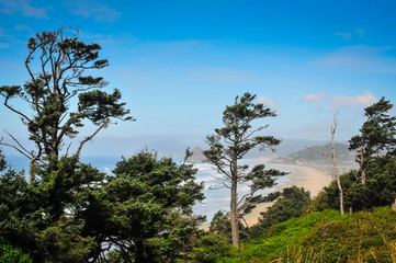 Scenes from Cannon Beach and Ecola State Park, Oregon, USA
