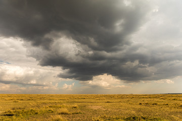 Serengeti Storm Rolls In