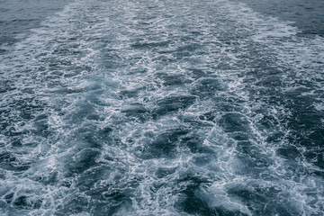 Seattle City Skyline Near Water