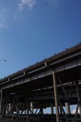 New Orleans City Scapes Bridge