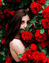 Portrait of a beautiful girl among the bush of the red rose