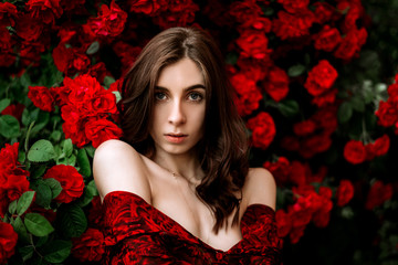 Portrait of a beautiful girl among the bush of the red rose