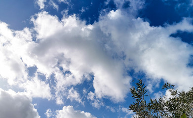 Obraz premium Sunny day, bright blue sky with clouds background for design, decoration or wallpaper