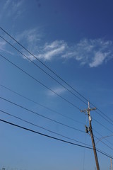 Fototapeta premium Louisiana Electrical Lines