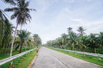 Fototapeta na wymiar Empty road with coconut palm trees.