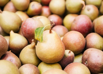 Pears