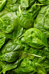 Spinach green fresh leaves with water drops background
