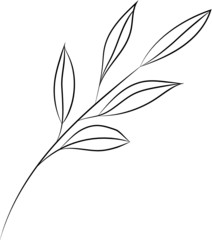 Colorless silhouette season leaves, branch, monochrome sketches outline, isolated illustration. Vector. Colorless dry flora