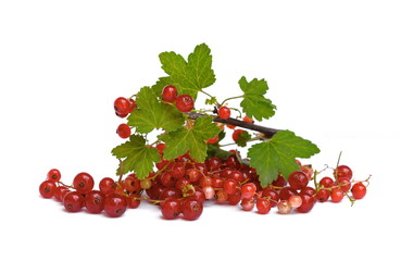 Branch of red currant isolated on white background. Bunch of red currant with leaves.