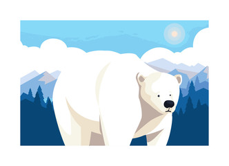 polar bear at the north pole, arctic landscape