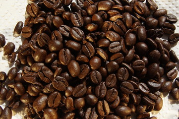 natural roasted coffee in daylight