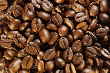 coffee beans close-up in warm light