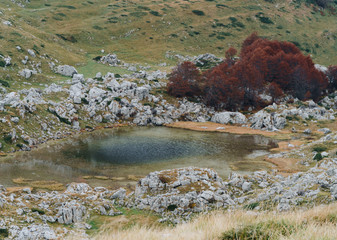 A small lake among a mountain range with red trees on the shore