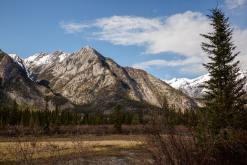 Rocky mountain forest valley