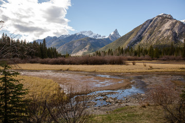 forest valley marsh nestled inbetween the Rocky Mountains
