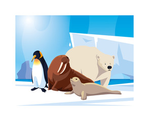 arctic animals at the north pole, arctic landscape