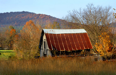 Arkansas Rusting Barn in Ozarks WFT