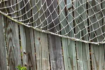 Background Fence and Net WFT