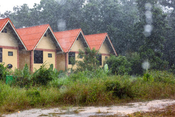 Fototapeta na wymiar house in the tropics. Sri Lanka. rain