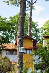mazamitla