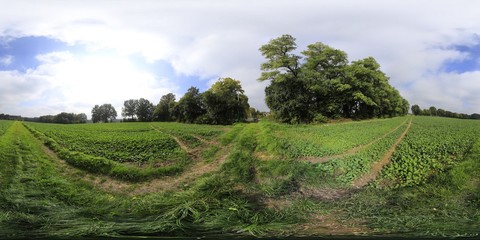 Obraz premium Rural ground road HDRI Panorama