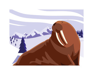 walrus at the north pole, arctic landscape
