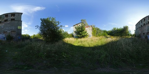 Blossoming Apple Tree in the Spring