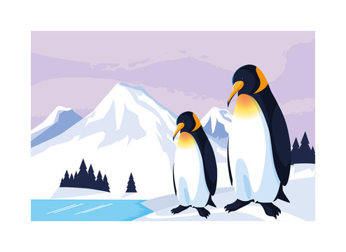 penguins at the north pole, arctic landscape