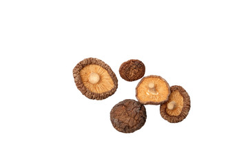 Dried Mushroom isolate on white background
