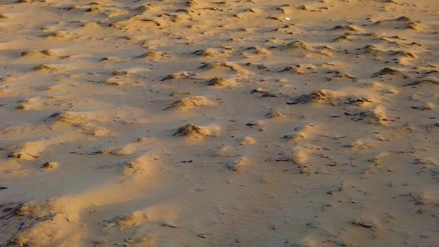 HD slow motion video of top view on sand dunes in Sahara desert, Africa. There are beautiful waves on the sand. T
