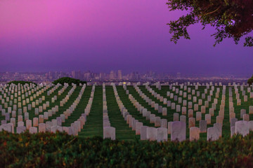 Obraz premium American war cemetery with rows of graveyard in Point Loma, California, United States with the skyscrapers of downtown San Diego on background. Twilight colorful sky.