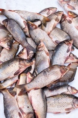 Selling fresh fish at food market in China, street food in summer