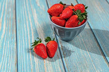 Blue beautiful organic strawberries in a blue bowl on a blue wooden background.