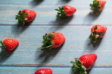 Blue beautiful organic strawberries on a blue wooden background.